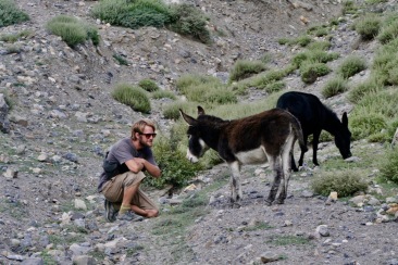 Jimmy found some donkeys